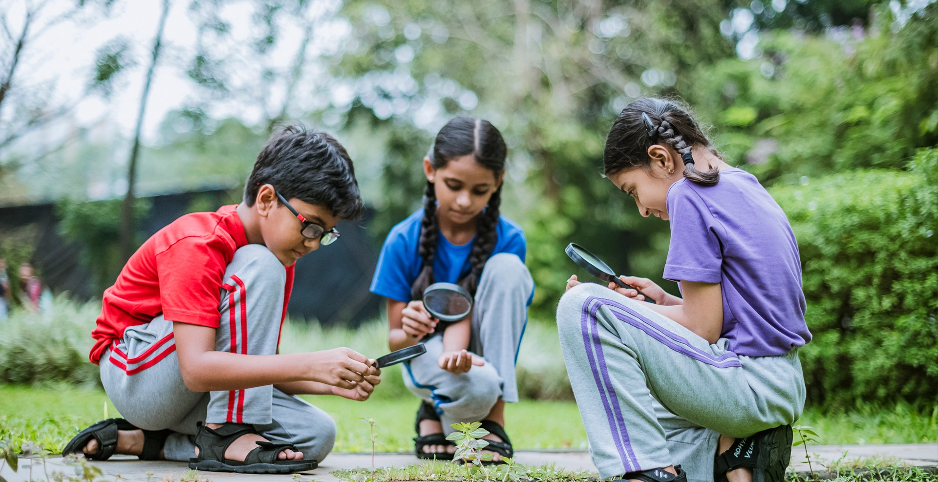 primary-curriculum-banner